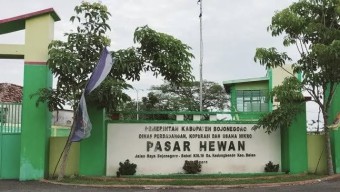 Cegah Penyebaran PMK di Bojonegoro, Pemkab Perpanjang Penutupan Pasar Hewan