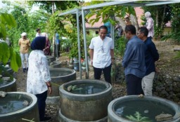 Bupati dan Wabup Bojonegoro Belajar Mengelola Buis Beton Ikan Lele di Banyumanik Research Center