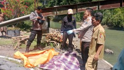 Mister X Ditemukan Tewas Tergeletak Bawah Jembatan di Jember
