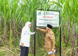 Lahan 9,7 Hektare di Kabupaten Malang Siap Untuk Sekolah Rakyat Standar Internasional