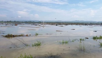 Banjir Rendam Tambak Garam di Nambakor Sumenep, Petani Gagal Panen