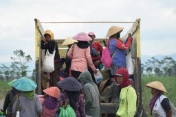 SGN PG Glenmore Berkontribusi Sebagai Penggerak Ekonomi di Kabupaten Banyuwangi