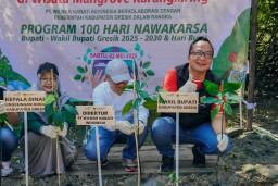 Pemkab Gresik dan PT Wilmar Tanam 1.000 Mangrove di Karangkiring untuk Dukung Aksi Iklim dan Nawaksara