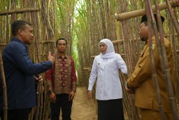 SGN Bersama Gubernur Jatim Luncurkan KUR Khusus Tebu di Bondowoso