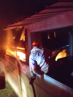 Kebakaran Hanguskan Kandang Ayam di Rambipuji, 24 Ribu Ekor Ayam Mati