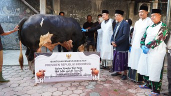Bupati Yes Serahkan Sapi Kurban Presiden Prabowo ke Masjid Al Muttaqin Karanggeneng