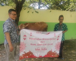 Bank Jatim Salurkan Hewan Kurban ke Lembaga Pendidikan di Gresik, Dukung Pemenuhan Gizi dan Pendidikan Berkualitas
