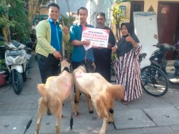 Iduladha Penuh Makna, MPM Honda Jatim Tebar Kebaikan Lewat Kurban, Perkuat Sinergi Bagi Negeri