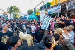 Arak-Arakan Kambing Idul Adha 2025 di Gresik: Tradisi, Kreasi, dan Semangat Peternak Muda