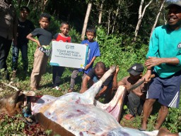 Iduladha 1446 H, PLN Salurkan Ribuan Hewan Kurban ke Seluruh Indonesia