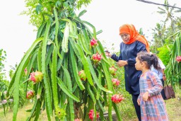 Kunjungan Wisatawan Mancanegara ke Jatim Meningkat Signifikan, Gubernur Khofifah: Destinasi Wisata Makin Dilirik Dunia