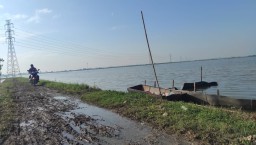 Banjir Tak Kunjung Surut di Plumpang Tuban Sejak 2024, Petani Terancam Gagal Tanam untuk Kedua Kalinya