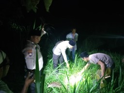 Bayi Baru Lahir Ditemukan di Area Persawahan, Polisi Selidiki Identitas Orang Tua