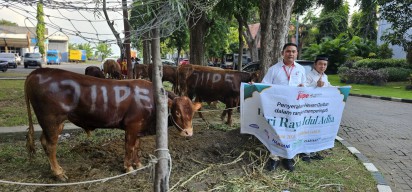 BKMS dan Perusahaan Kawasan JIIPE Serahkan Bantuan Hewan Kurban ke Pemkab Gresik