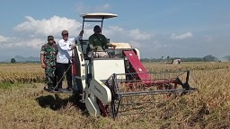 Wujudkan Swasembada Pangan, Wamentan RI Paparkan Strategi Komprehensif di Jember