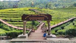 Menikmati Keindahan Kebun Teh dengan Spot Instagramable dan Fasilitas Kekinian di Gunung Gambir
