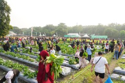 Petrokimia Gresik Ajak Masyarakat Lebih Dekat dengan Pertanian Lewat Petro Agrifood Expo 2025