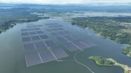 PLN Masuk Fortune Global 500, Bukti Daya Saing Energi Indonesia di Panggung Dunia