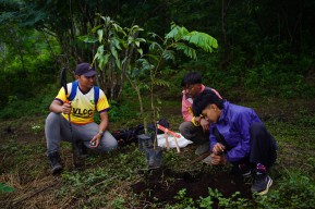 Kampanyekan #SehatuntukMemperbaikiBumi, Petrokimia Gresik Gelar Viral to Plogging (VLOG) di Gunung Penanggungan