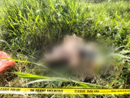 Mayat Dalam Kardus Gegerkan Warga Kedamean Gresik