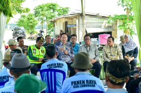 Kabupaten Lamongan Targetkan Swasembada Pangan Nasional Melalui Tanam Padi Musim Ketiga