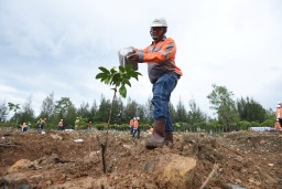 Reklamasi Lahan Pascatambang, SIG Tanam Belasan Ribu Pohon untuk Lindungi Keanekaragaman Hayati di Aceh