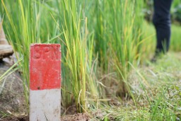 Menteri ATR/BPN Serukan Pemasangan Patok Permanen untuk Cegah Sengketa Tanah