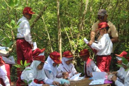 UPT SD Negeri 20 Gresik Gelar Outing Class Bertema Edukasi Mangrove di PRPM Mengare
