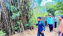 Kebakaran Lahan Bambu di Sampang, Damkar Ingatkan Warga Jangan Abai Saat Bakar Sampah