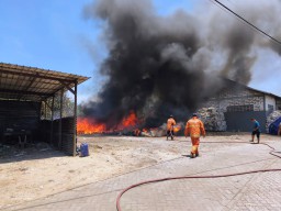 Kebakaran Kardus Bekas di Driyorejo Gresik Hampir Merembet ke Gudang