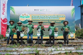 Dorong Produktivitas Petani Dieng, Petrokimia Gresik Gelar Lomba Kentang Raksasa