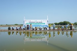 Dukung Program 'Mageri Segoro' Jateng, Pelindo Terminal Petikemas Tanam 50.000 Bibit Mangrove di Demak