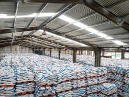 Petrokimia Gresik Siapkan 441 Ribu Ton Pupuk Subsidi untuk Dukung Produktivitas Petani di Musim Tanam Oktober-Maret