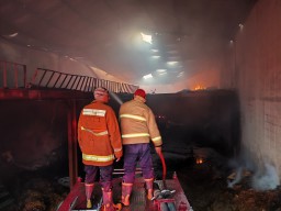 Kebakaran Serbuk Kayu di Pabrik Driyorejo Gresik, Petugas Damkar Padamkan Api Selama Tujuh Jam