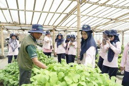 Petrokimia Gresik Raih Dua Penghargaan Nasional Berkat Inovasi Desa Berkelanjutan