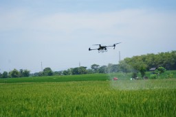 Petrokimia Gresik Dorong Pertanian Berkelanjutan Lewat Teknologi Modern dan Pupuk Organik