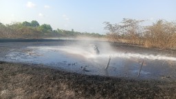 Sumur Minyak di Gresik Terbakar, Diduga Akibat Pembakaran Lahan