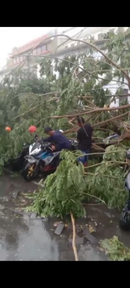 Hujan Deras dan Angin Kencang Terjang Wilayah Lamongan Selatan, Sejumlah Rumah dan Fasilitas Umum Rusak