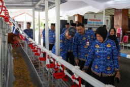 Pemkab Bojonegoro Perkuat Program Ternak Ayam Petelur Mandiri Lewat Training of Fasilitator