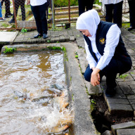 Gubernur Khofifah Tinjau Instalasi Budidaya Ikan Mas di Kota Batu, Siap Kembangkan Lebih Masif dengan Benih Jutaan