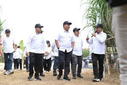 Komisaris Utama PT Danantara Kunjungi PG Sei Semayang, Dorong Sinergi dan Tata Kelola BUMN yang Lebih Kuat