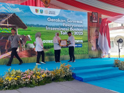 Gubernur Khofifah Apresiasi Kades Sidowungu atas Inovasi Kebersihan Pemotongan Unggas