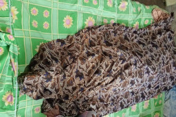 Asyik Nonton TV, Nenek 82 Tahun di Banyuwangi Tersambar Petir