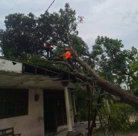 Tiga Lokasi Terdampak Cuaca Ekstrem, Dua Ruang Kelas Tertimpa Pohon