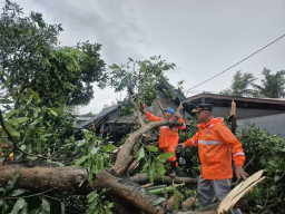Angin Kencang Rusak 76 Rumah di Kecamatan Semanding Tuban