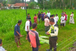 Jalan di Tengah Rel, Kakek asal Klakah Tewas Dicium KA