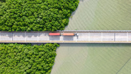 TPS Tambah Ruang Terbuka Hijau hingga 3,09 Hektare, Perkuat Komitmen Pelabuhan Berkelanjutan