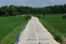 Pemkab Bojonegoro Tahun ini Akan Bangun 163 Jalan Usaha Tani, Anggaranya Rp31,1 Miliar