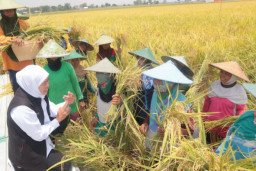 Gubernur Khofifah NTP Tinggi Bukti Program Jatim Agro Berdampak Tingkatkan Kesejahteraan