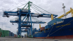 Terminal Peti Kemas Ambon Catat Realisasi Arus Peti Kemas 112.502 TEUs Tahun 2025